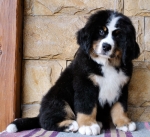 10 weeks 4