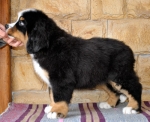 10 weeks 6