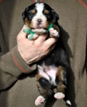 m green 3weeks