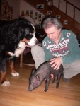 pig aeneas003