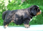 m1 4weeks 10