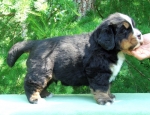 m1 4weeks 9