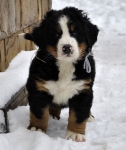 7 weeks 10