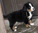 7 weeks 2