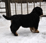 7 weeks 5