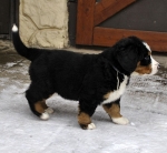 7 weeks 6
