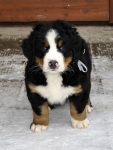 7 weeks 7