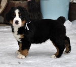 7 weeks 9