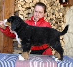 9 weeks 2