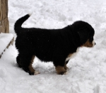 7 weeks 1