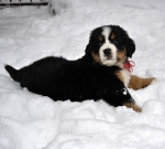7 weeks 10