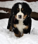 7 weeks 2