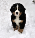 7 weeks 7