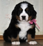5 weeks 9
