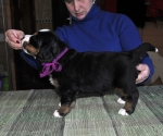 4 weeks 7