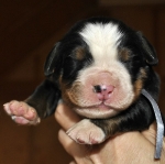 m gray 5days
