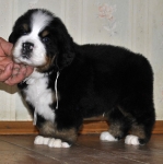 m white 5weeks 7