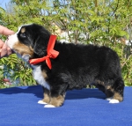 m red 4 weeks 2
