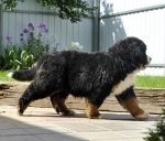 10 weeks 10