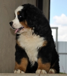 10 weeks 18