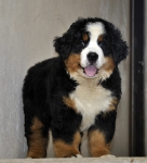 10 weeks 19