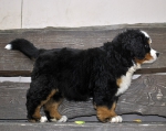 10 weeks 21