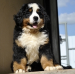10 weeks 4