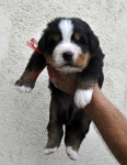 m red 3 weeks 1