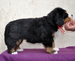m red 5 weeks