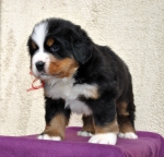 m red 5 weeks 1