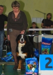 best junior 2 