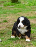 6 weeks 2