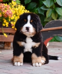 7 weeks 7