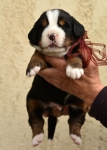 m brown 3 weeks