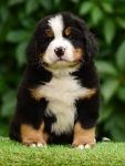 6 weeks 2