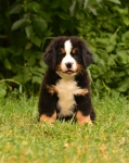 8 weeks 2