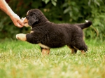 8 weeks 3