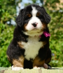5 weeks 2