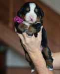 m violet 3 weeks 