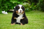 5 weeks 1