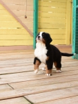 10 weeks 14