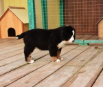 10 weeks 2