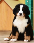 10 weeks 5