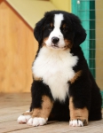 10 weeks 6