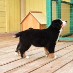 10 weeks 8