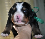 m green 2 weeks