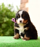 5 weeks 9