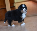 7 weeks 2
