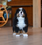 7 weeks 8
