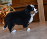 7 weeks 9